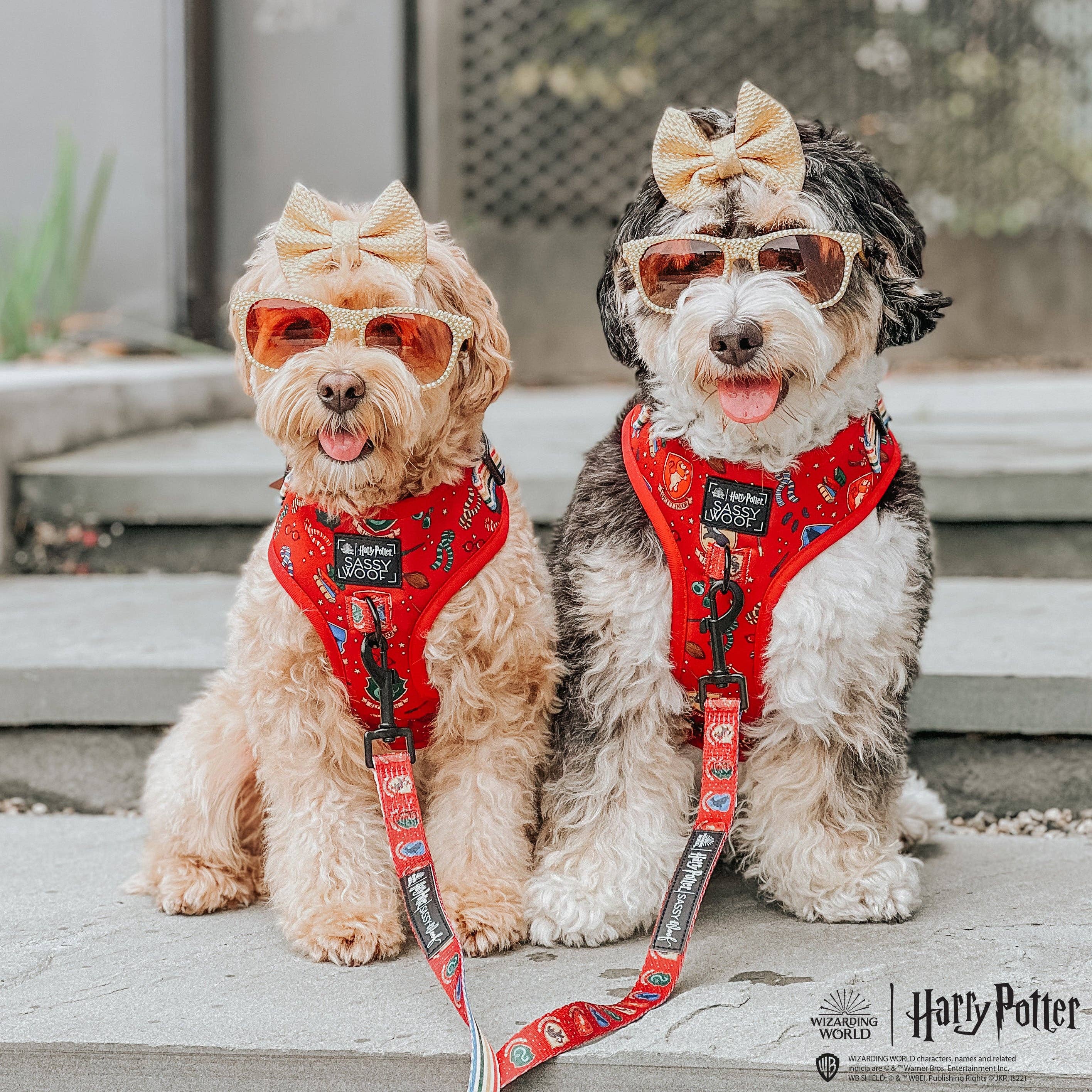 Dog Leash - Harry Potter™ House Crests