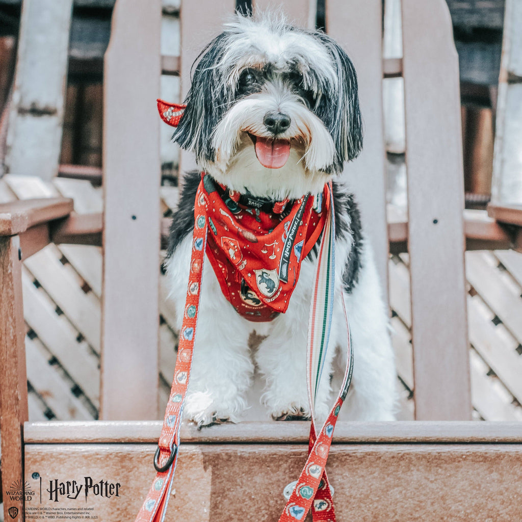 Dog Bandana - Harry Potter™