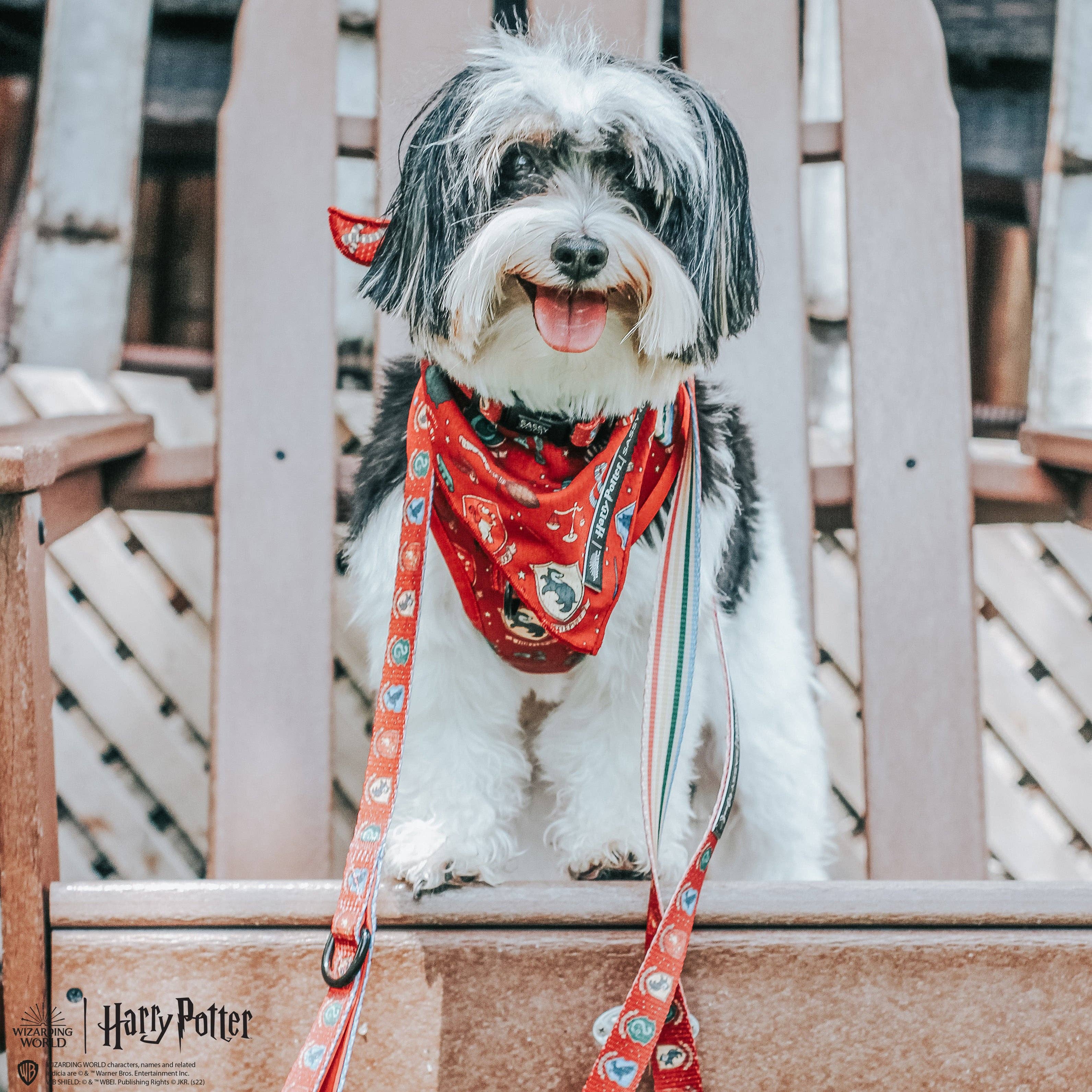 Dog Bandana - Harry Potter™