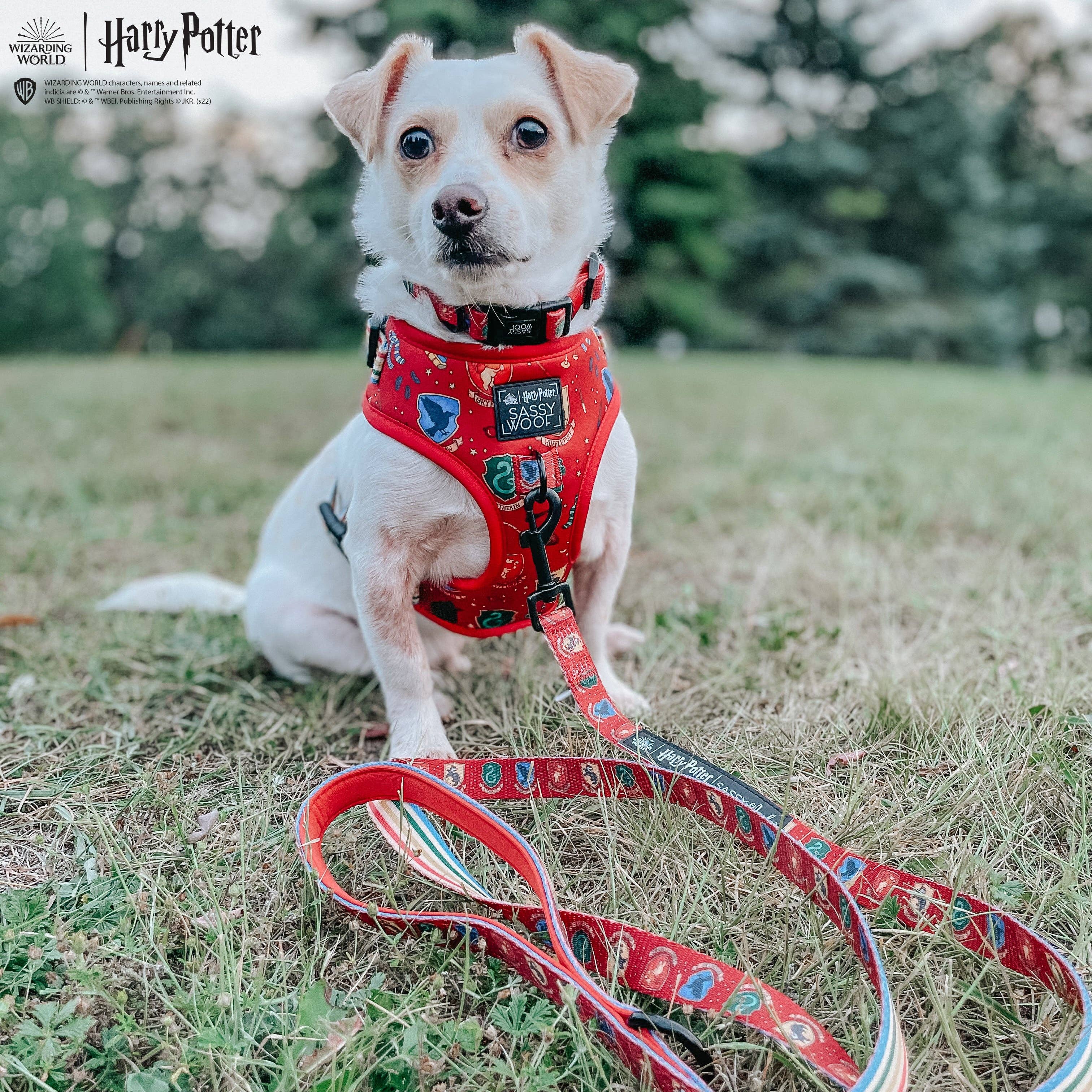 Dog Leash - Harry Potter™ House Crests