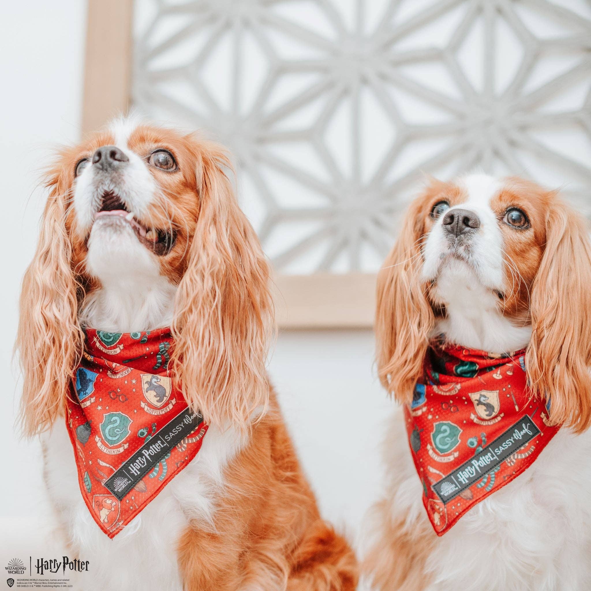 Dog Bandana - Harry Potter™