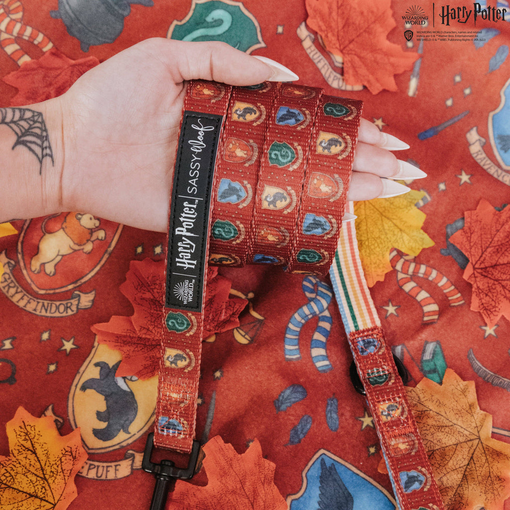 Dog Leash - Harry Potter™ House Crests