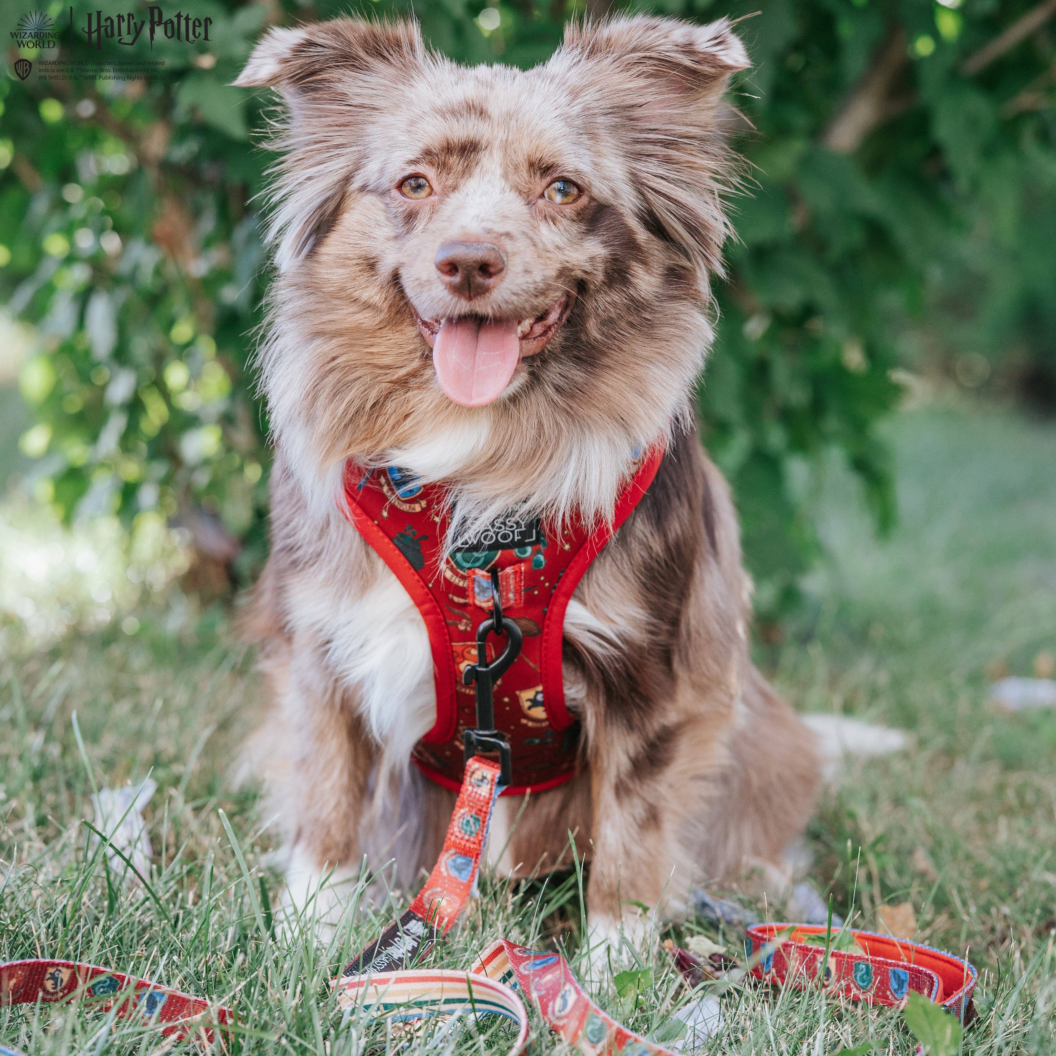 Dog Leash - Harry Potter™ House Crests