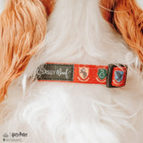 Dog Collar - Harry Potter™