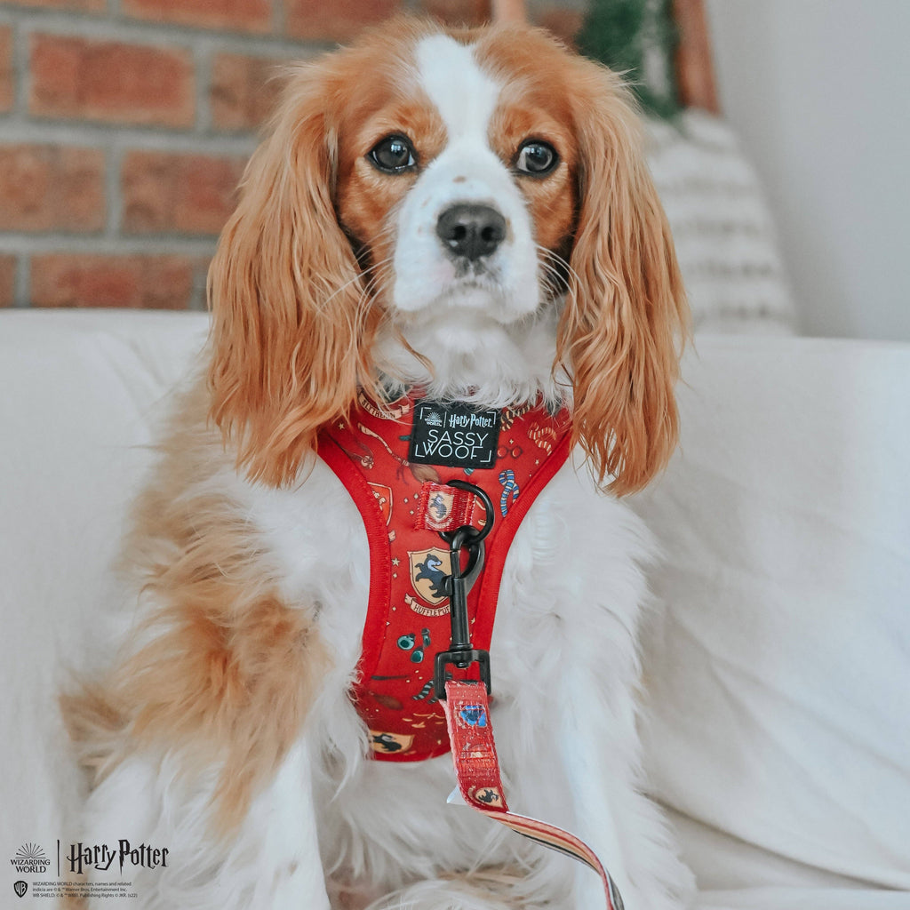 Dog Leash - Harry Potter™ House Crests