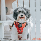 Dog Collar - Harry Potter™