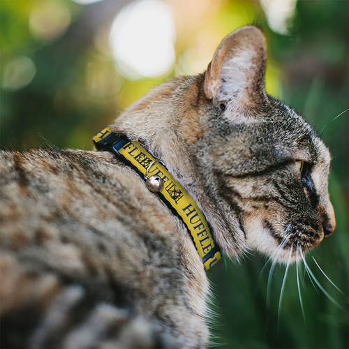 Cat Collar Breakaway with Bell - Harry Potter HUFFLEPUFF & Crest Yellow/Black
