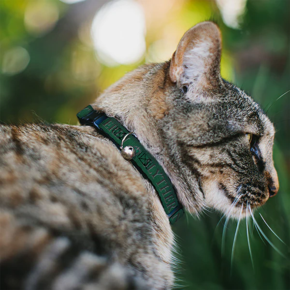 Cat Collar Breakaway with Bell - Harry Potter SLYTHERIN & Crest Green/Black