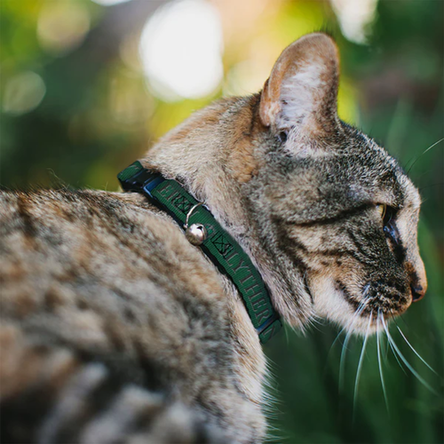 Cat Collar Breakaway with Bell - Harry Potter SLYTHERIN & Crest Green/Black