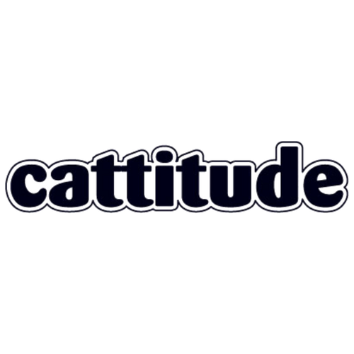 Word 'cattitude' in black text on a white background