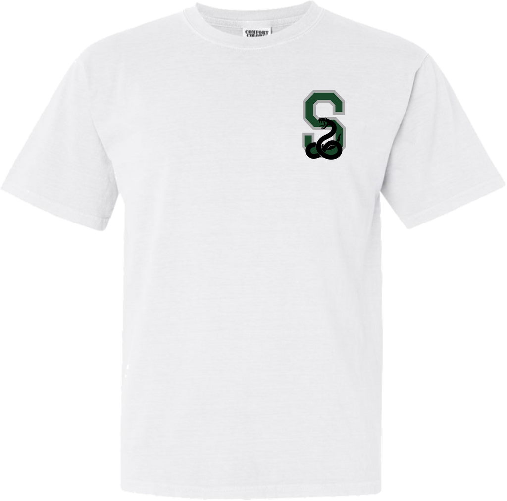Comfort Colors House Pride Shirt - Slytherin S
