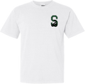 Comfort Colors House Pride Shirt - Slytherin S