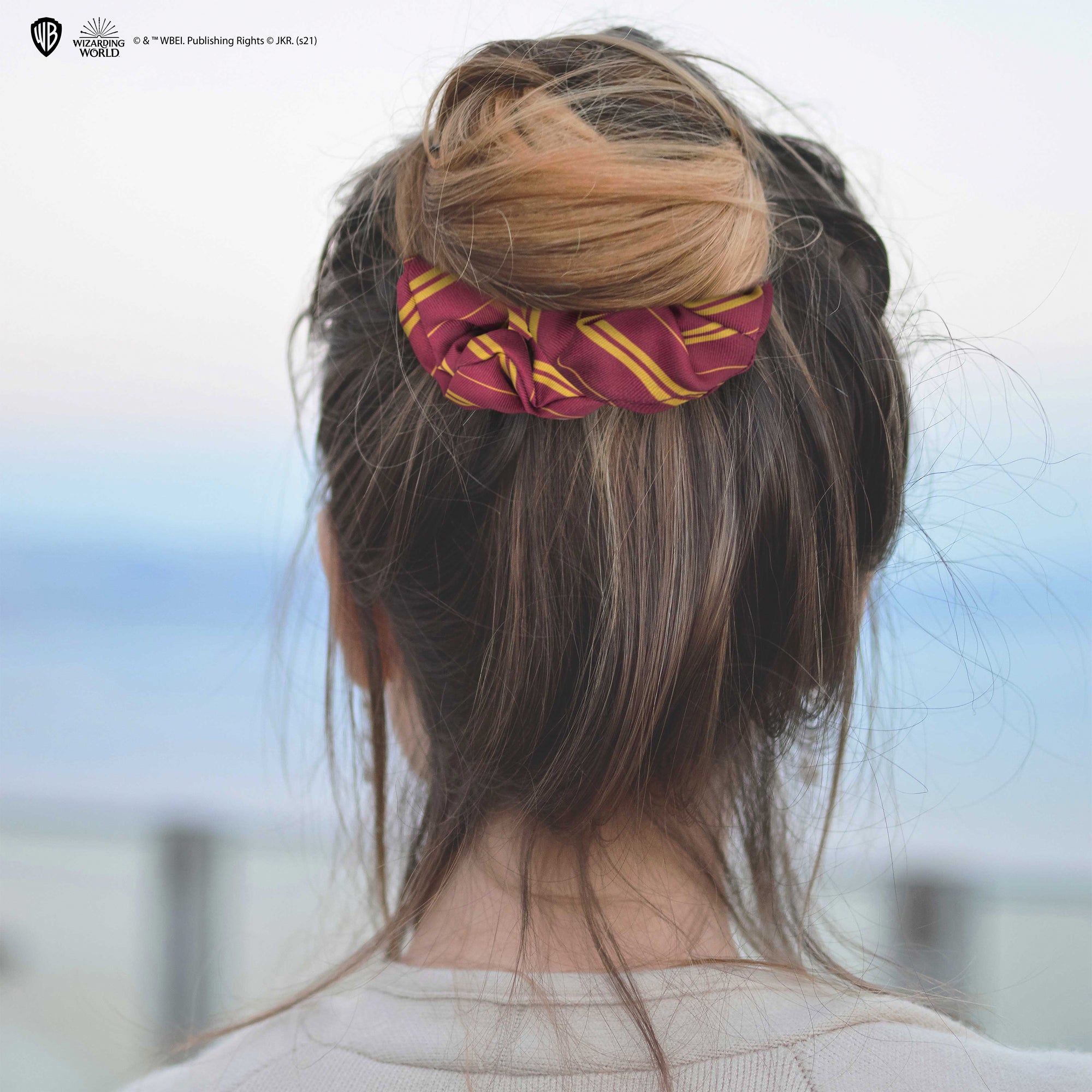 Hair Accessories - Boutique Harry Potter