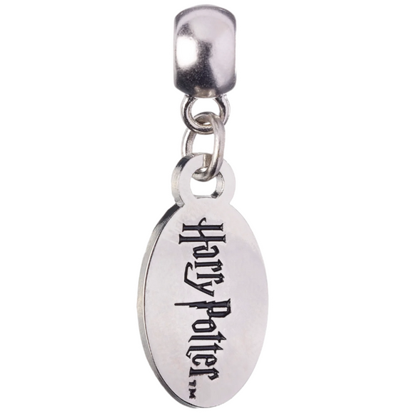 Silver 'Harry Potter' pendant on a transparent background