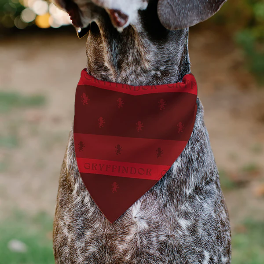 Pet Bandana - Harry Potter GRYFFINDOR Traits Banner and Icons Reds/Yellow