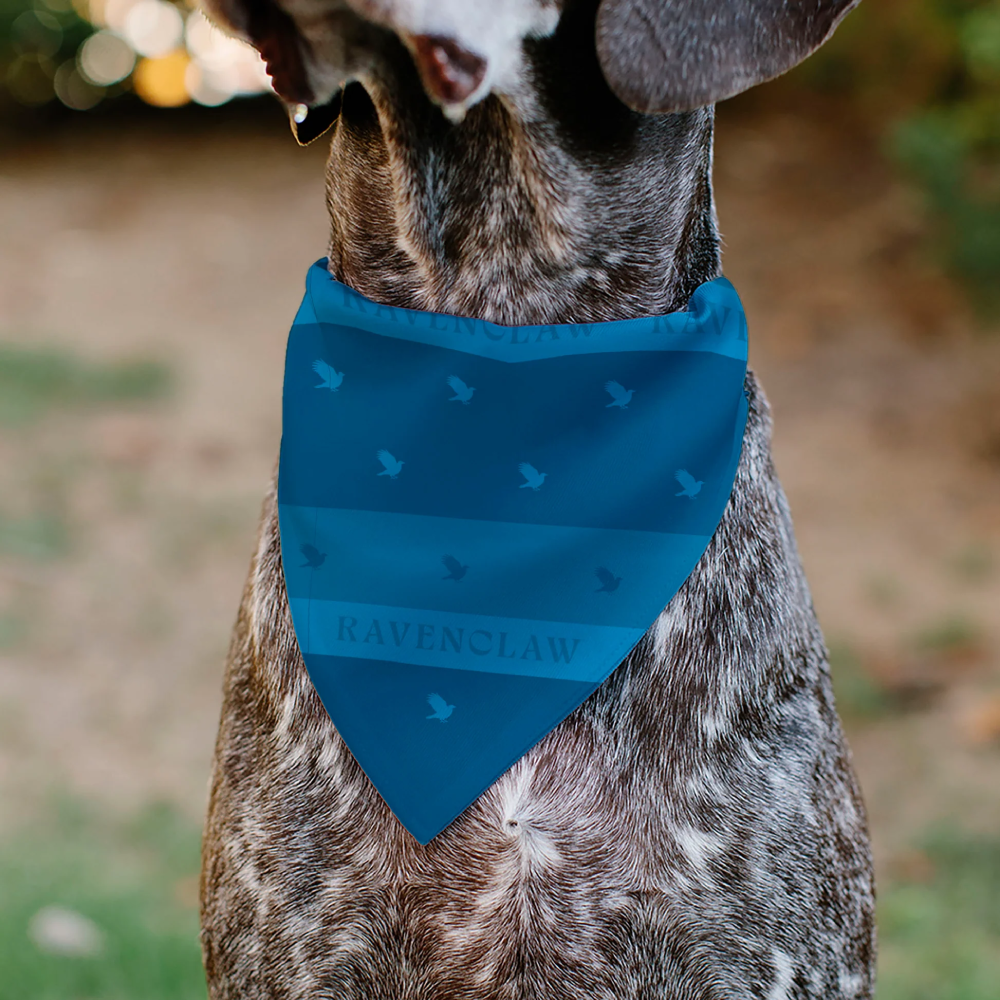 Pet Bandana - Harry Potter RAVENCLAW Traits Banner and Icons Blues/Yellow