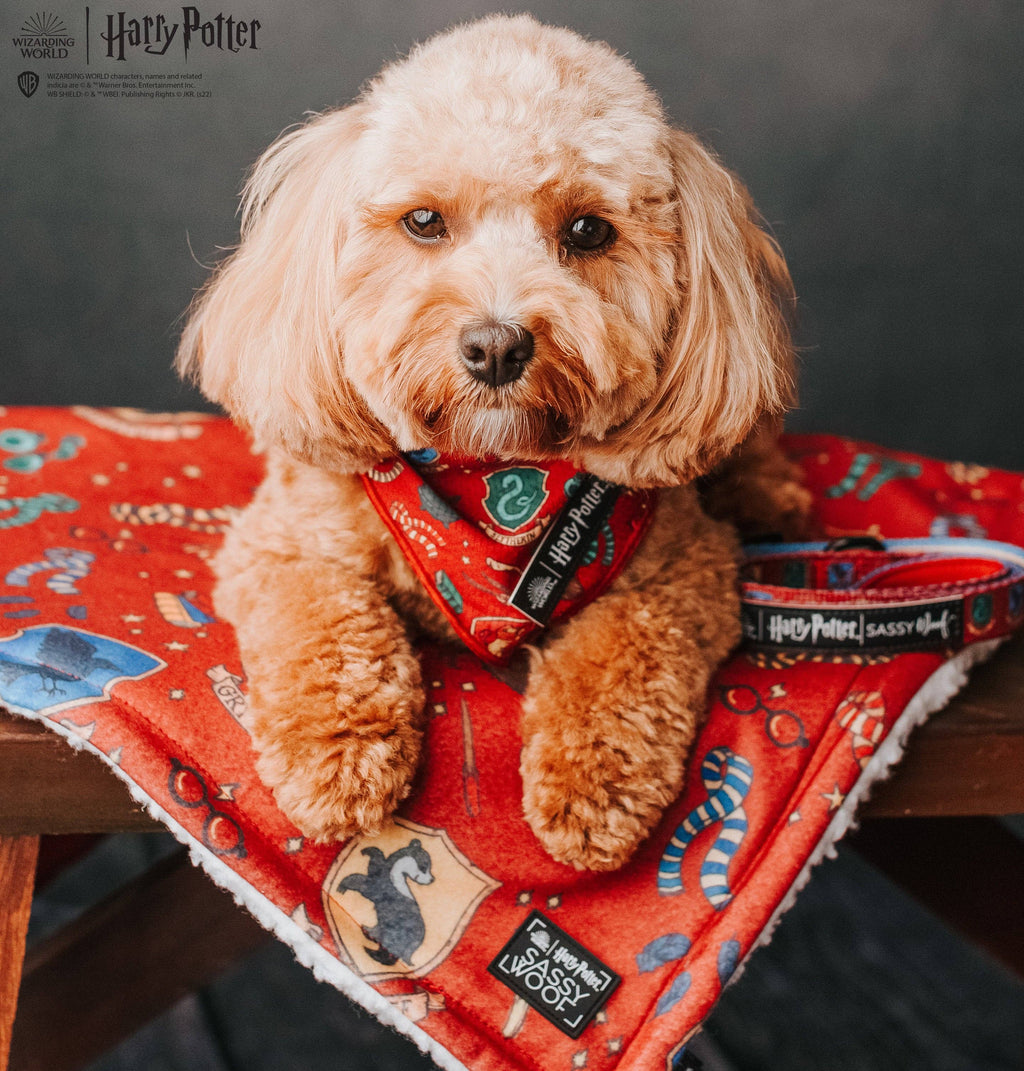 Dog Bandana - Harry Potter™