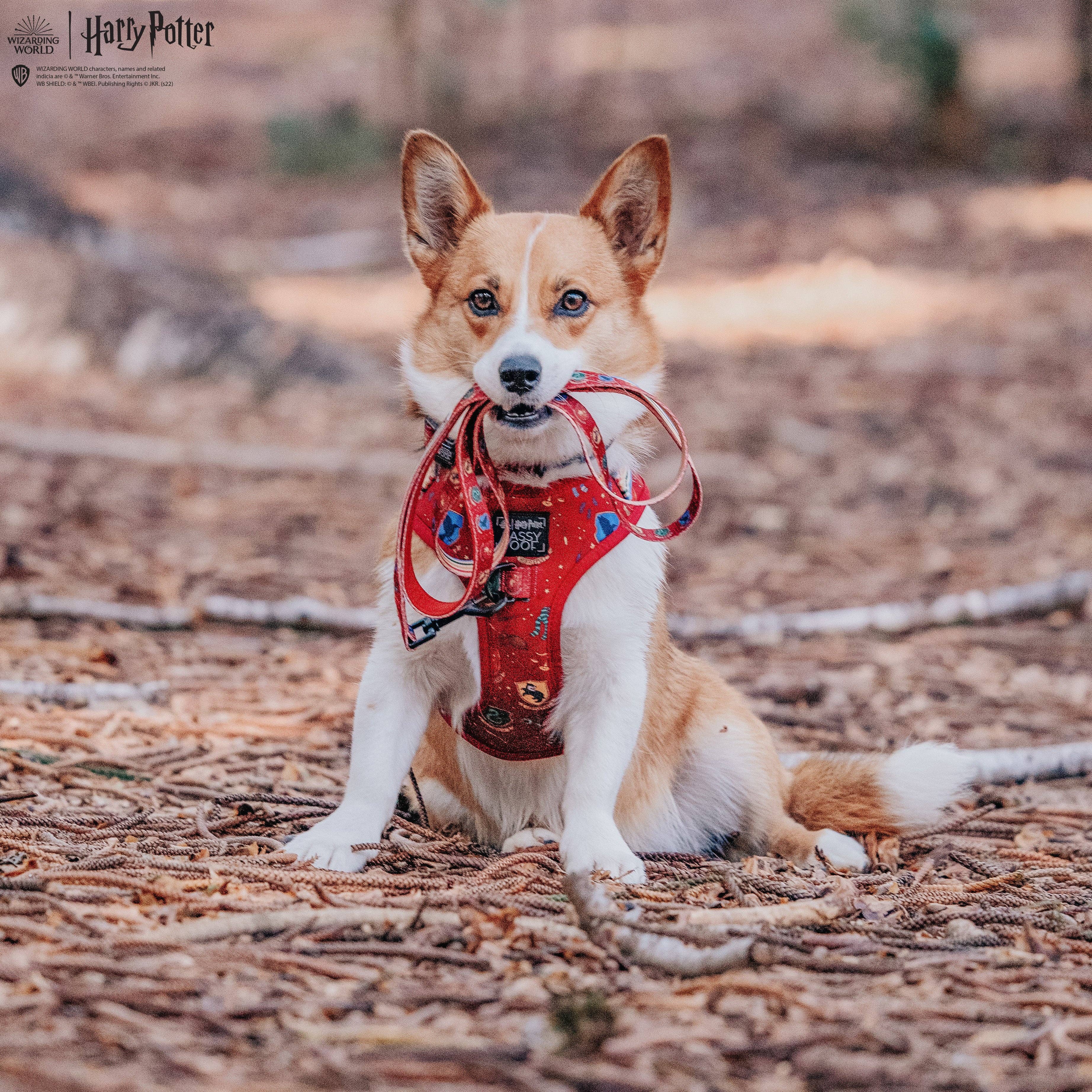 Dog Leash - Harry Potter™ House Crests