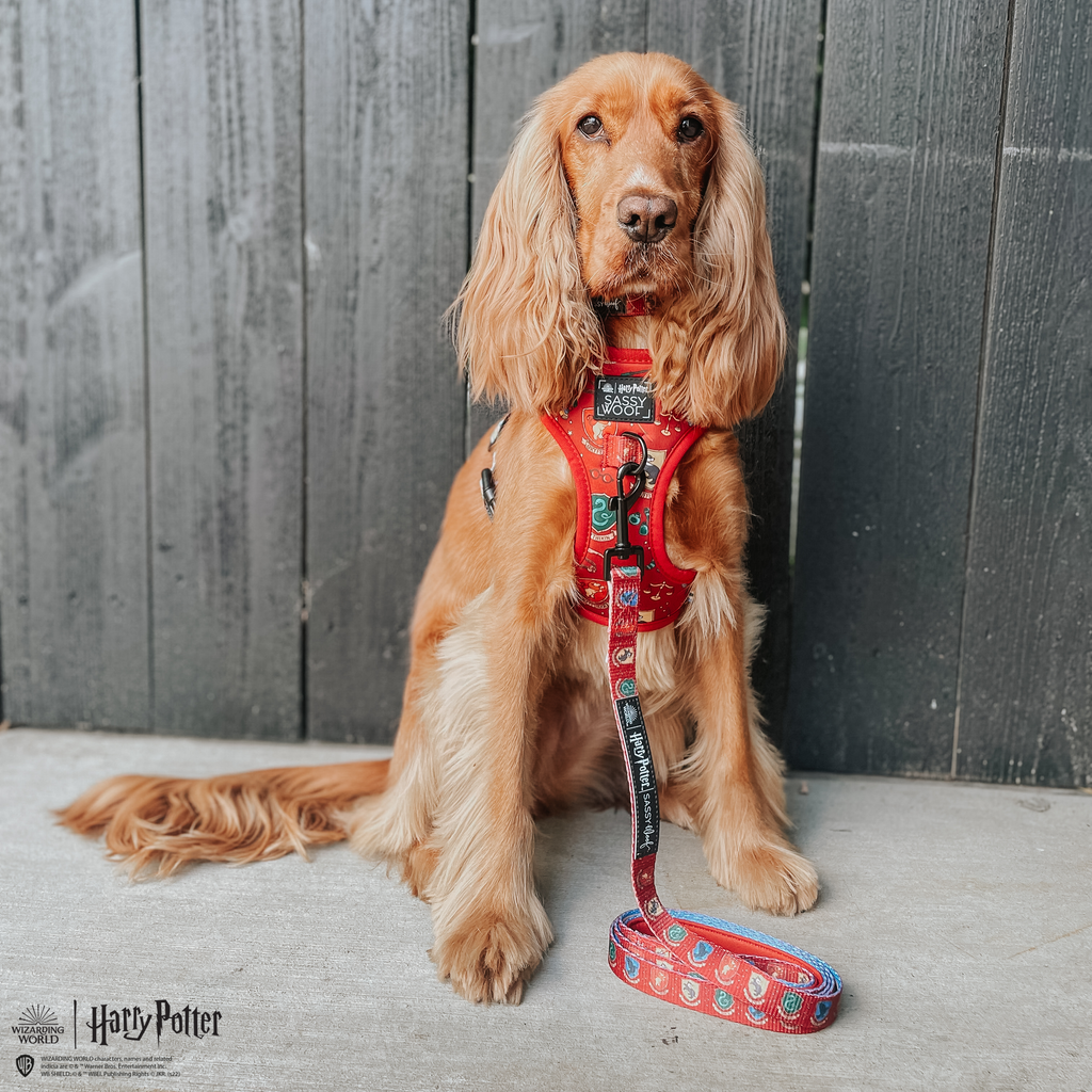 Dog Leash - Harry Potter™ House Crests