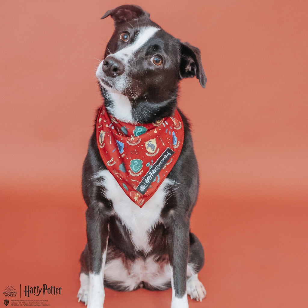 Dog Bandana - Harry Potter™
