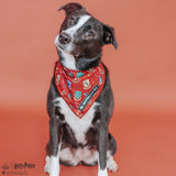 Dog Bandana - Harry Potter™
