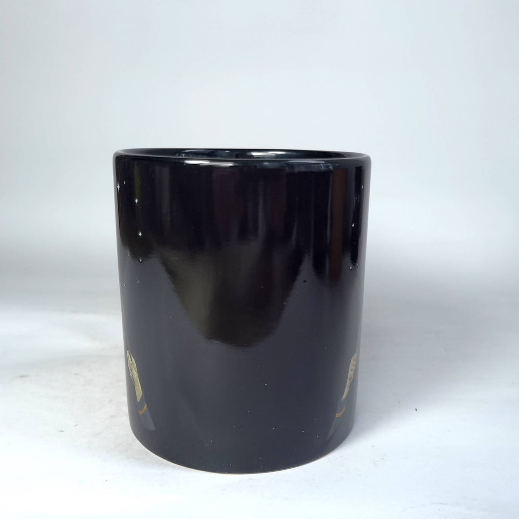 Harry Potter Wand Reveal Heat Reveal Boxed 20oz Ceramic Mug