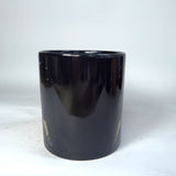 Harry Potter Wand Reveal Heat Reveal Boxed 20oz Ceramic Mug