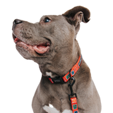 Dog Leash - Harry Potter™ Stamps