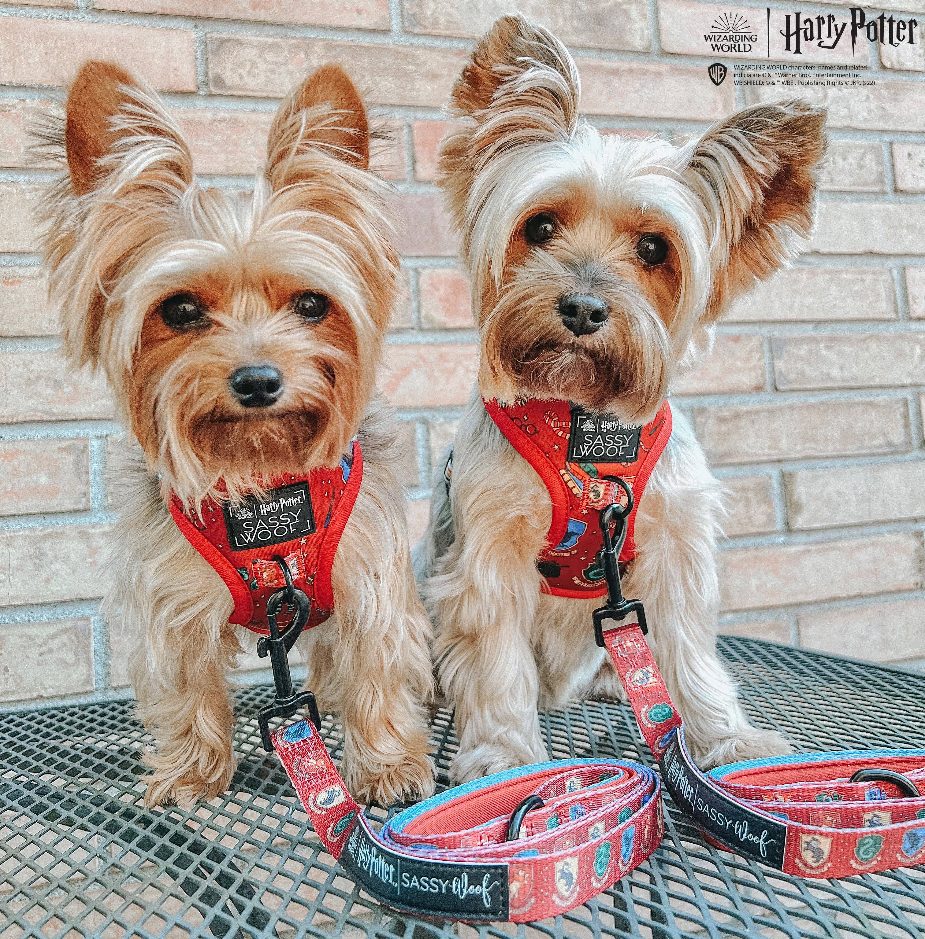 Dog Leash - Harry Potter™ House Crests