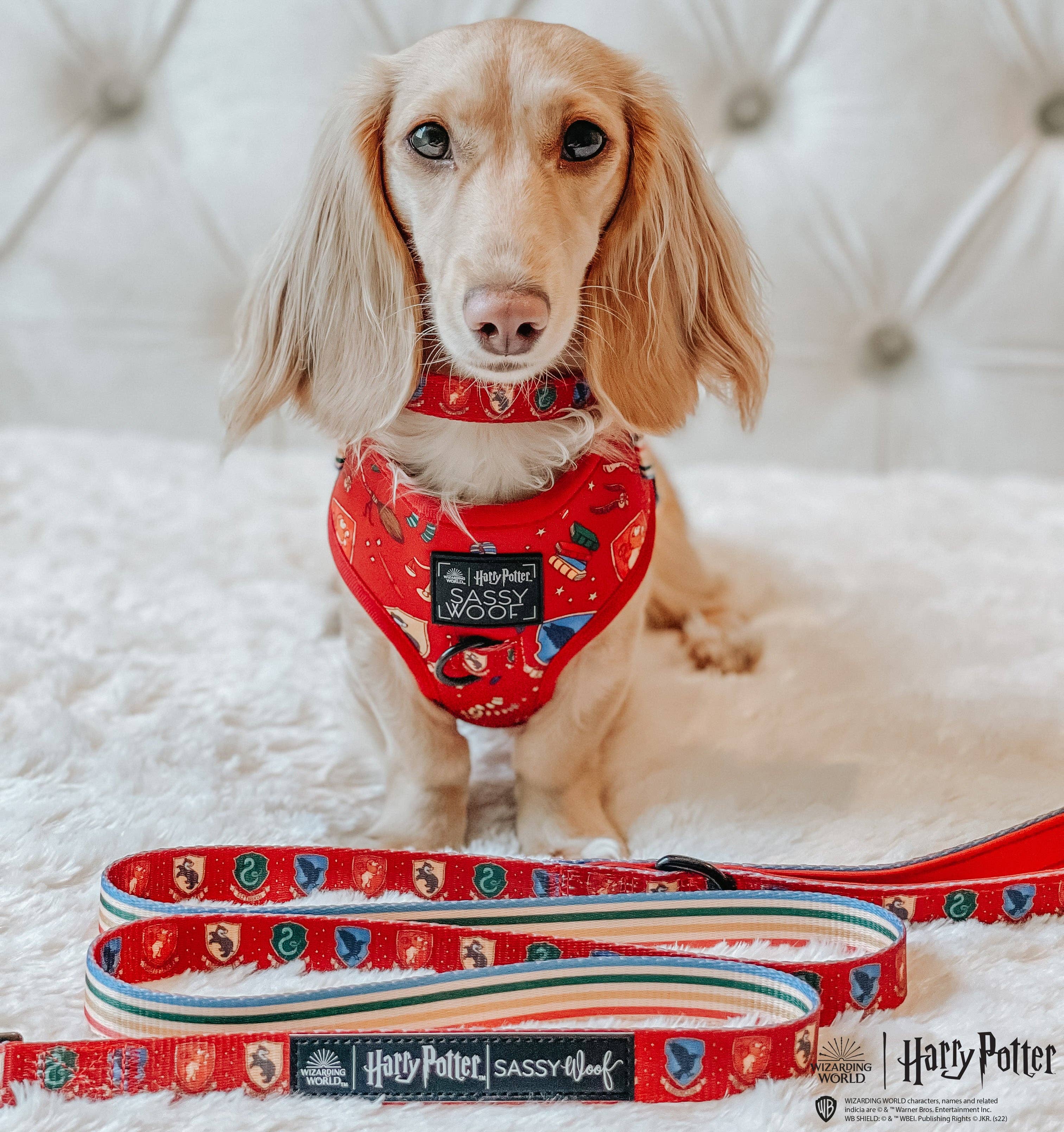 Dog Leash - Harry Potter™ House Crests